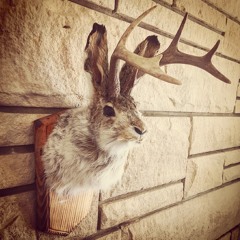 Jackalope Ranger