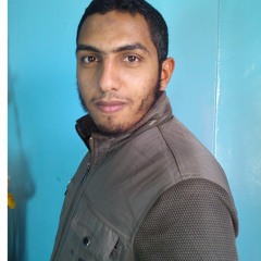 saberelsayed30