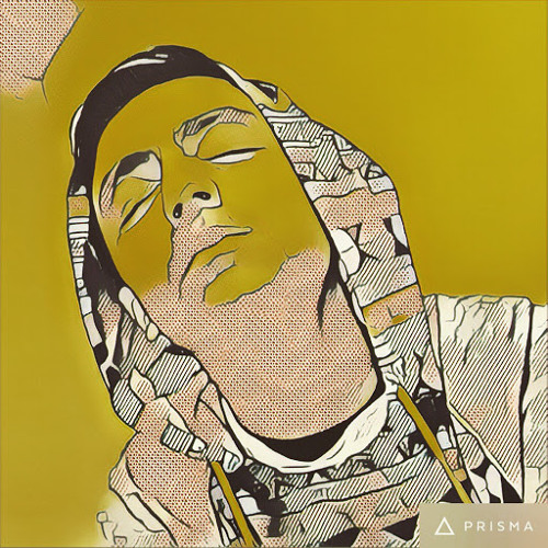 Stream Wanted Fly Bird music | Listen to songs, albums, playlists for