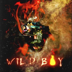 WILD BOY BANG