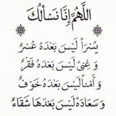 Rana Mahmoud Abu Alkhair