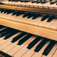 Ill Gatto Rosso Red Cat