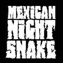 Mexican Night Snake