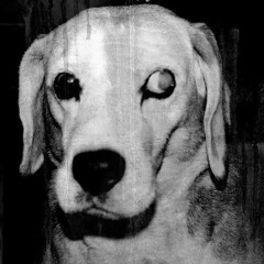 Da Vala & o Núcleo Sujo