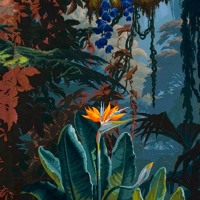 Reve Bebe Reve Dockland By Dockland