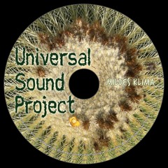 Universal Sound Project