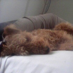 Jerry