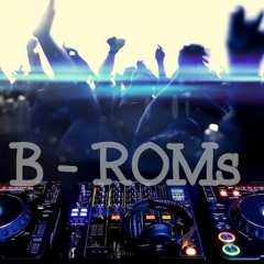 B-ROMS