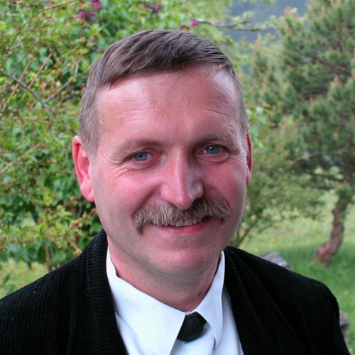 Niklaus Wäfler’s avatar
