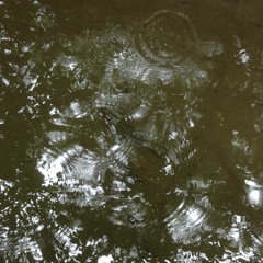 この先に段差があるので足元に気をつけてくださいね