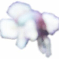 clovernose