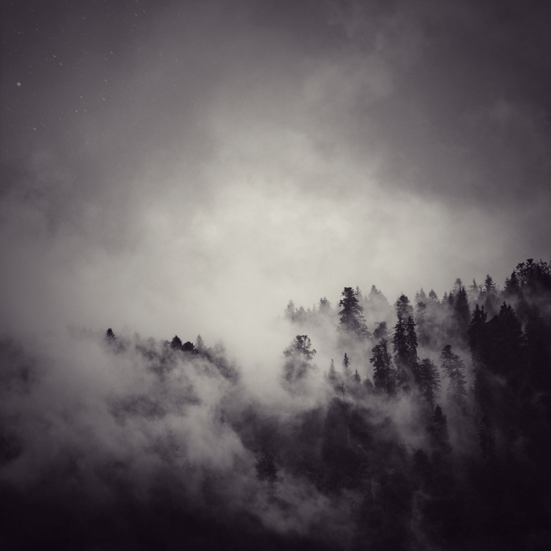 Stream P Y G M A L I O N music | Listen to songs, albums