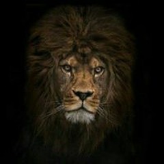 adil