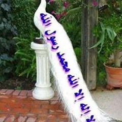 المعتصمة بالله