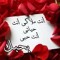 مولاي اني ببابك
