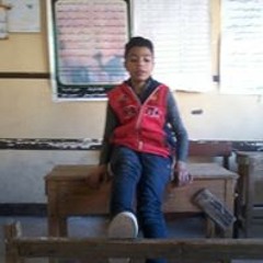 محمد مدحت