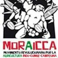 Bolívar en Martí / MORAICCA