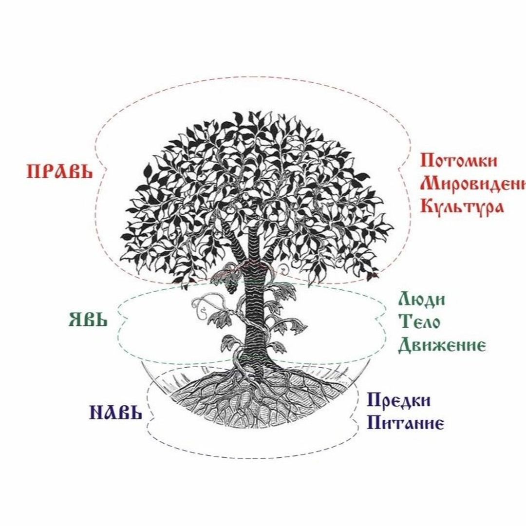 Порно Манга Мировое Древо