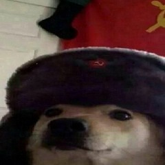 bobdude