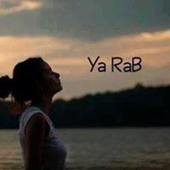 Hams Waly