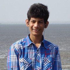 Siddhant Bishnoi