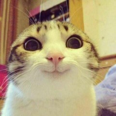 www