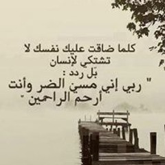 Mohamed Farg