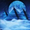 V e n t u r △
