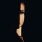 Noor Ali