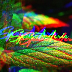 SpaceMerie