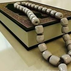 Ayman Shaheen