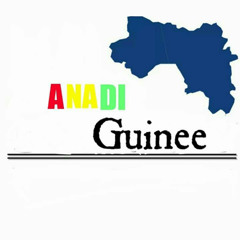 Anadi Guinee