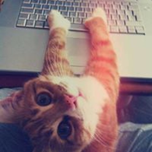 Stream Najwa Maher Ghanem music | Listen to songs, albums, playlists ...