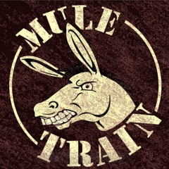 Mule Train