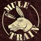 Mule Train
