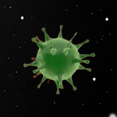 Organism