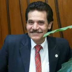 magdy el said