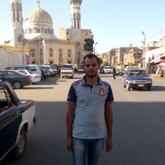 Ashraf Elmahrosa