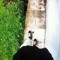 rizky