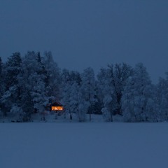 Chantelle A M Van Buren