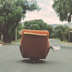 lachelle d g shandler