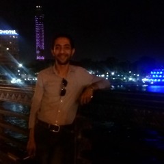 Mohammed Abd Helal