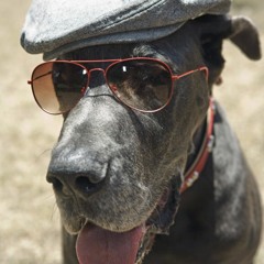 TheGreatDane