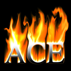 AceXprt
