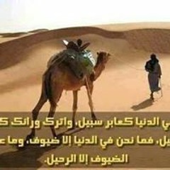 محمد الغالي