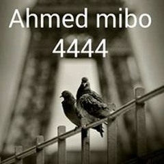 Ahmed Mido Hendawy