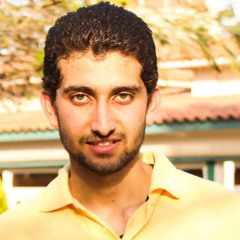 Mahmoud Shawareb