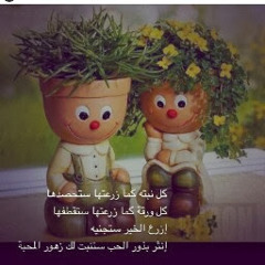 user239746930