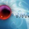 Djduke®☊