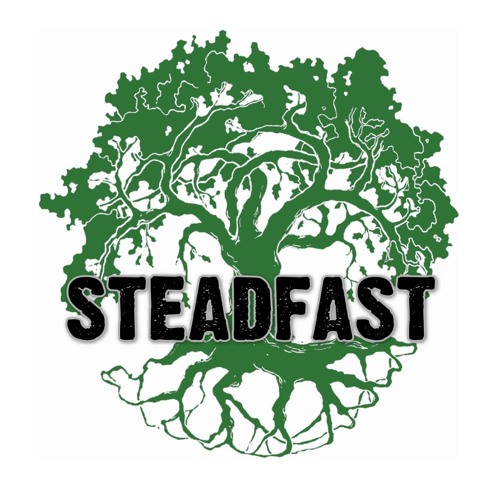 Steadfast’s avatar